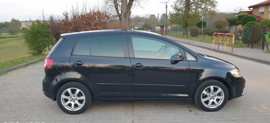 Volkswagen Golf Plus cena 17300 przebieg: 234321, rok produkcji 2007 z Białogard małe 191